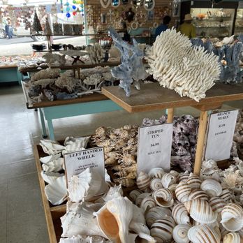 The Shell Shop - Arts & Crafts Near Me - Morro Bay, California