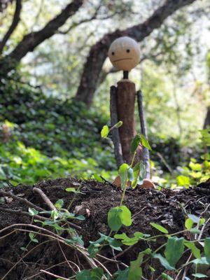 BRIDGEVIEW TRAIL - 81 Photos & 18 Reviews - Leimert And Bridgeview