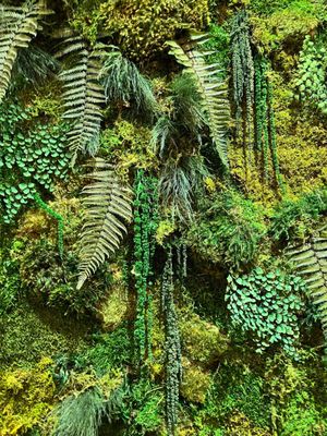 Clay Oven Minneapolis by null