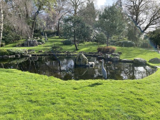 Kyoto Garden by null