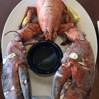 Seaport Grille - Whole 5 lb lobster! - Seafood Near Me - Gloucester, Massachusetts Seaport Grille - Whole 5 lb lobster! - Seafood Near Me - Gloucester, Massachusetts