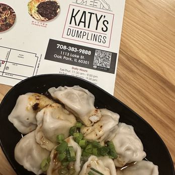 Katy's Dumpling - Oak Park - Cheng Du Dumplings - Noodles Near Me - Oak Park, Illinois