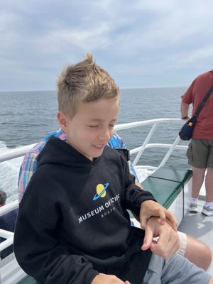 7 Seas Whale Watch by null