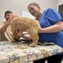 Bristol Veterinary Clinic