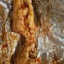 Photo of The Italian Gourmet