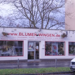 Blumen Wingen - Blumen Wingen Maarweg - Köln