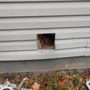 Photo of Kingsbury’s Home Maintenance