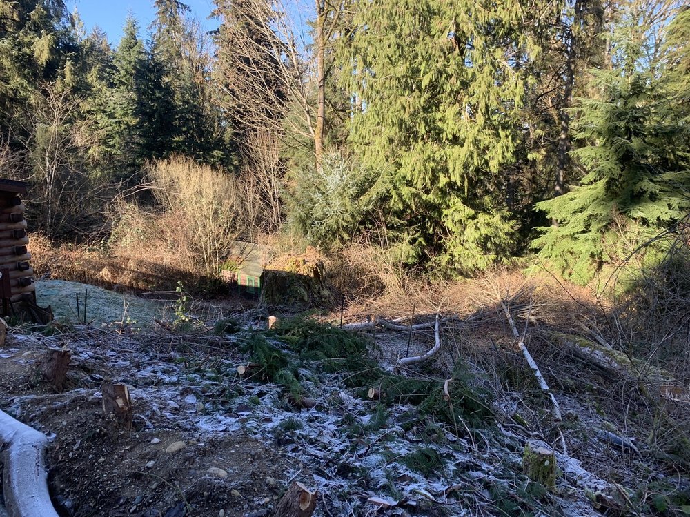 DK Excavation - septic in Monroe, WA