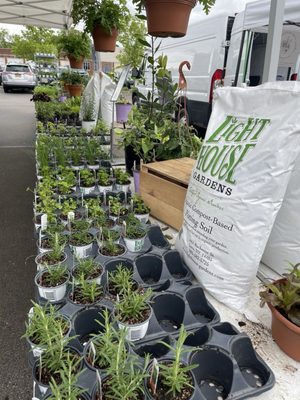 Brighton Farmers' Market by null