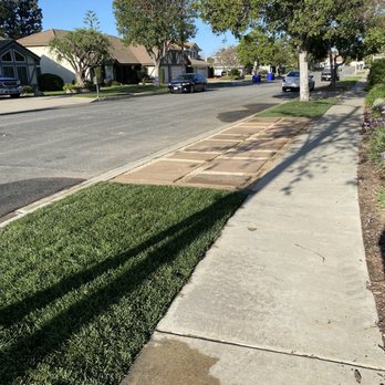 GB Landscaping Services - After photo of parking strip - Landscaping Near Me GB Landscaping Services - After photo of parking strip - Landscaping Near Me
