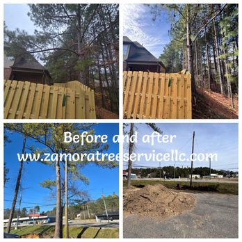 Zamora Tree Service - Tree Services Near Me - Alabaster, Alabama