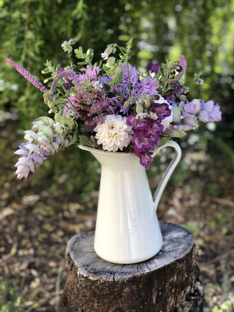 SWALLOWS SECRET GARDEN Updated June 2024 20 Photos Scotts Valley