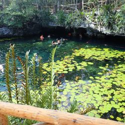 Cenote Nicte Ha