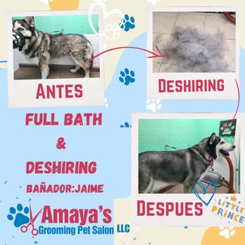 Amaya's Grooming - Pet Groomers Near Me - Houston, Texas