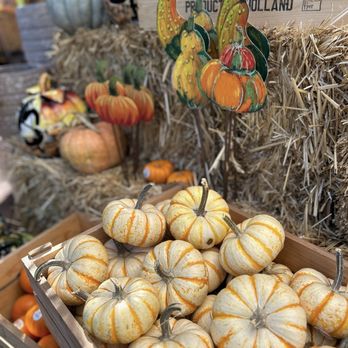Orchard Nursery - Nurseries & Gardening Near Me - Lafayette, California Orchard Nursery - Nurseries & Gardening Near Me - Lafayette, California