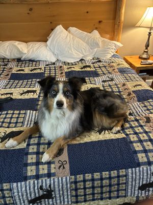 Cowlitz River Lodge by null