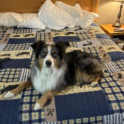 Cowlitz River Lodge - Penelope