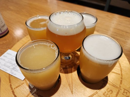 True North Ale Company by null