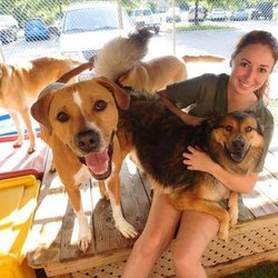 user provided Godspeed Animal Care photo