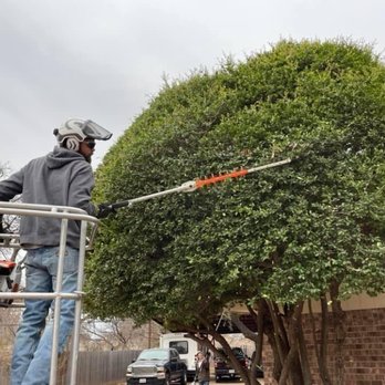 Thornton's Tree Service - Tree Services Near Me - Abilene, Texas Thornton's Tree Service - Tree Services Near Me - Abilene, Texas