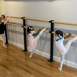 Philly's Got Dance - Beginner Ballet class