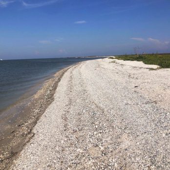 Handsome Sailor Yacht Charters - Private island in Aransas Pass bay covered with small shells and sunflowers - Boating Near Me - Aransas Pass, Texas