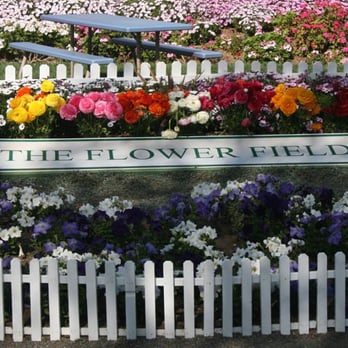 The Flower Fields - Venues & Event Spaces Near Me - Carlsbad, California