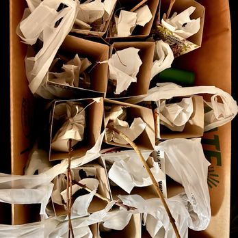 Tractor Supply - Live Plants Haul - Pet Stores Near Me - Laurens, South Carolina Tractor Supply - Live Plants Haul - Pet Stores Near Me - Laurens, South Carolina