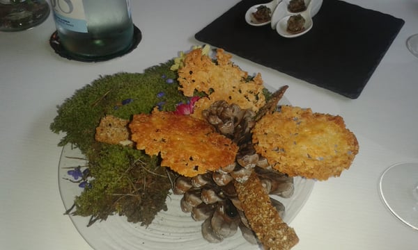 Le Haut Allier by null