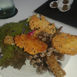Le Haut Allier - Apéritif "into the wood" deco mousse et pomme de pin : tuiles au parmesan et noisettes...Beau et bon !!