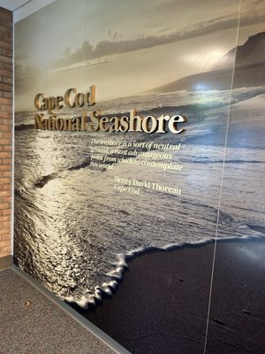 Cape Cod National Seashore by null