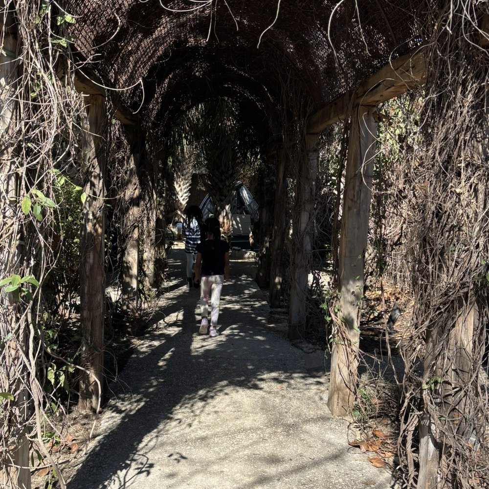 The DoSeum - Outside exploration - Venues & Event Spaces Near Me - San Antonio, Texas