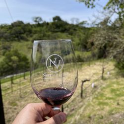 Notre Vue Estate Winery & Vineyards - Cheers to a wonderful glass of wine and view of the vineyards at Notre Vue Estate Winery & Vineyards in Windsor.