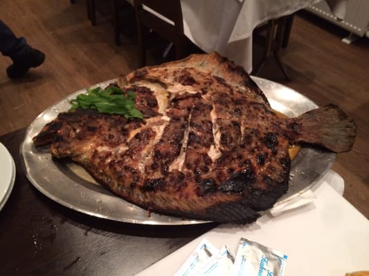 Balıkçı Kahraman by null