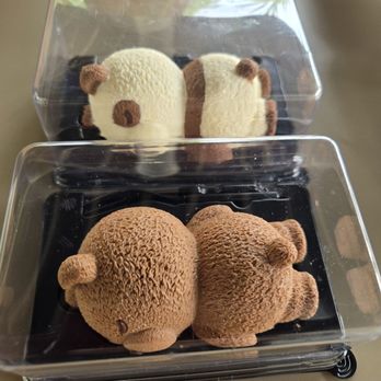 Mūmoo Cafe - Grizzly Bear & Sleeping Panda - Coffee & Tea Near Me - San Gabriel, California Mūmoo Cafe - Grizzly Bear & Sleeping Panda - Coffee & Tea Near Me - San Gabriel, California