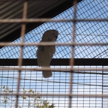 The Green Goddess - Nurseries & Gardening Near Me - Phoenix, Arizona