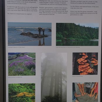 Hiouchi Visitor Center - Infor - Visitor Centers Near Me - Crescent City, California