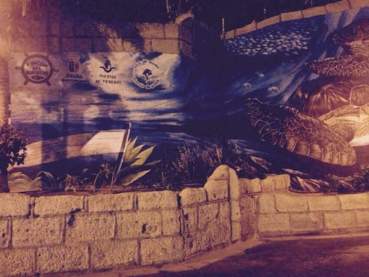 Puerto Los Cristianos by null