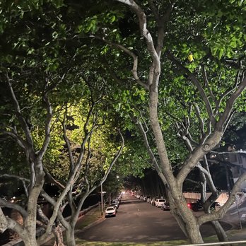 Ala Wai Promenade - Parks Near Me - Honolulu, Hawaii Ala Wai Promenade - Parks Near Me - Honolulu, Hawaii