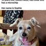 Photo of Keller Animal Shelter