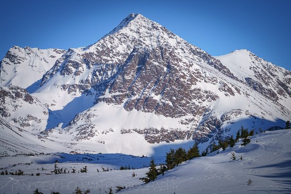 Williwaw Lakes Trail by null