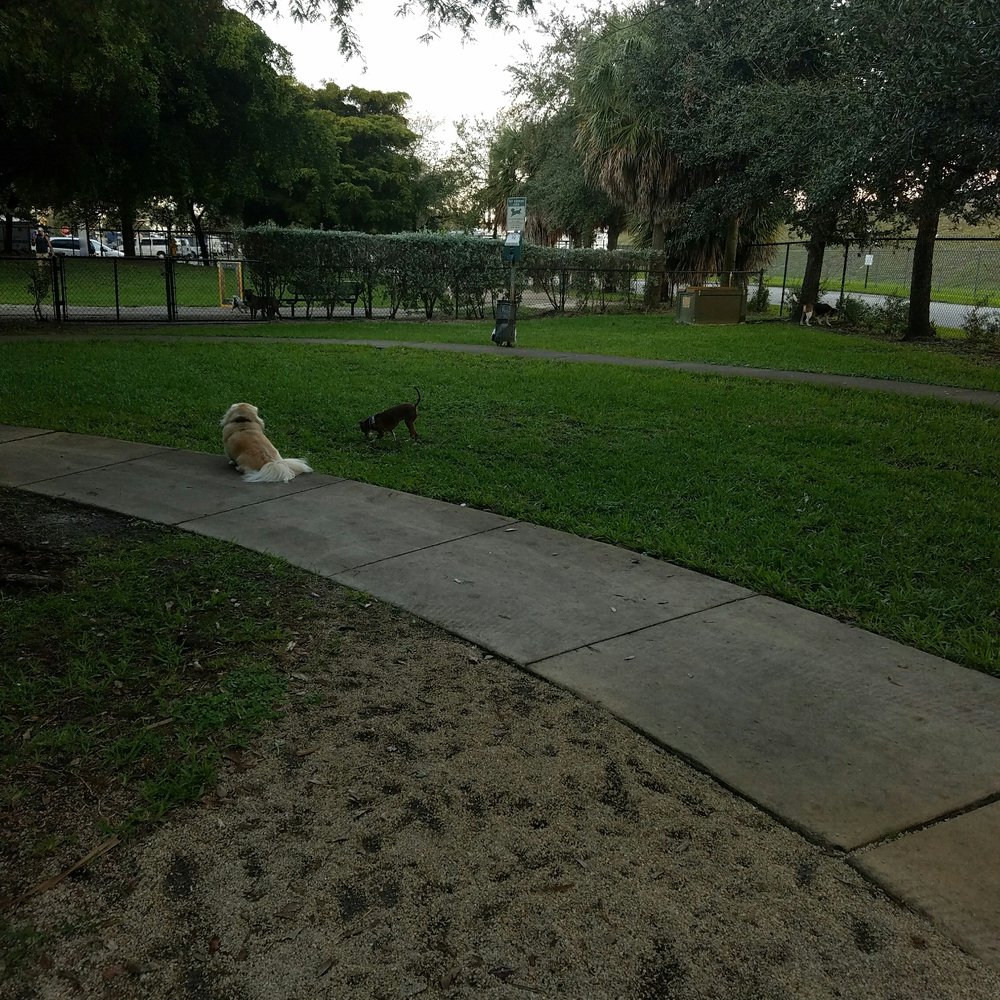 Oakland Bark - Dog Parks Near Me - Oakland Park, Florida Oakland Bark - Dog Parks Near Me - Oakland Park, Florida