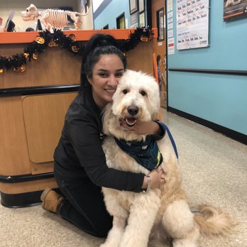 PetSmart - Recent Grooming Oct 2019-Samira - Pet Groomers Near Me - Houston, Texas