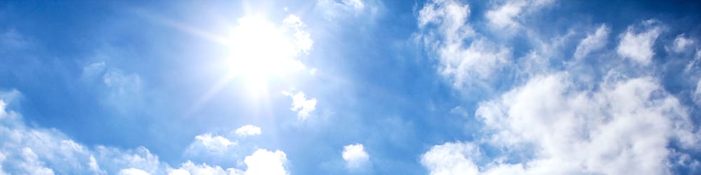 Elysium Environmental Services - mold inspector in Summerville, SC