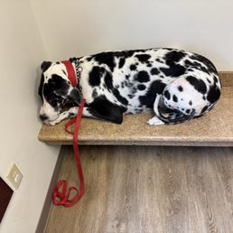 This is Riley thinking she is hiding.