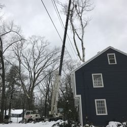 Highlander Tree and Landscaping