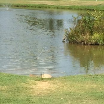 MCCANLESS GOLF COURSE Updated August 2025 12 Reviews 3515 Stokes