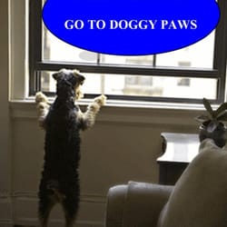 Doggy Paws