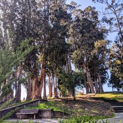 Green Hills Park
