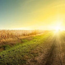 Family Farm AG Services - Agricultural Services